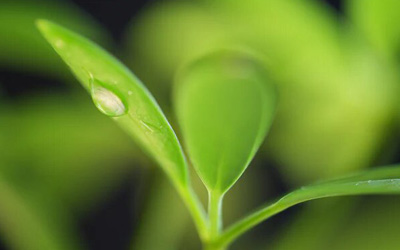 Bracketing de mise au point